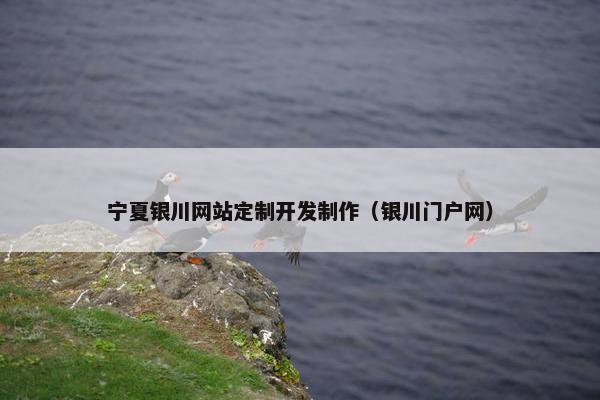 宁夏银川网站定制开发制作（银川门户网）