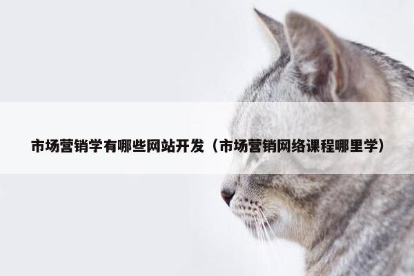 市场营销学有哪些网站开发（市场营销网络课程哪里学）