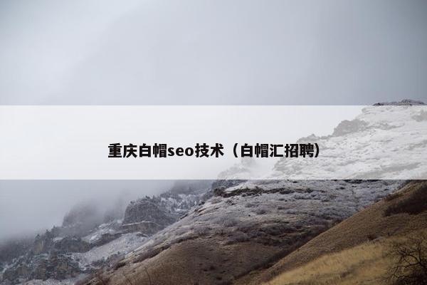 重庆白帽seo技术（白帽汇招聘）