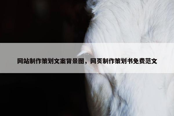 网站制作策划文案背景图，网页制作策划书免费范文