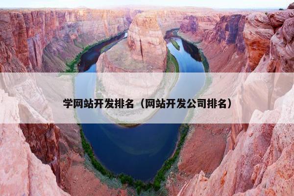 学网站开发排名（网站开发公司排名）