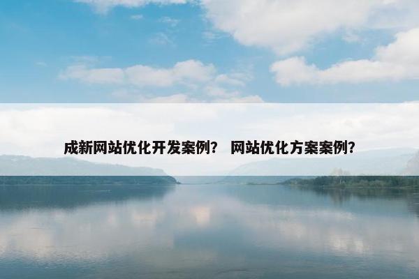 成新网站优化开发案例？ 网站优化方案案例？