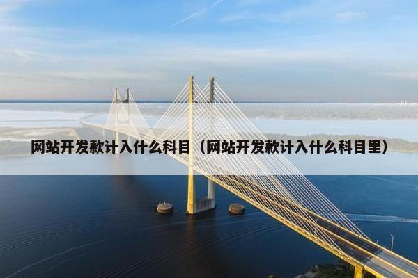 网站开发款计入什么科目（网站开发款计入什么科目里）