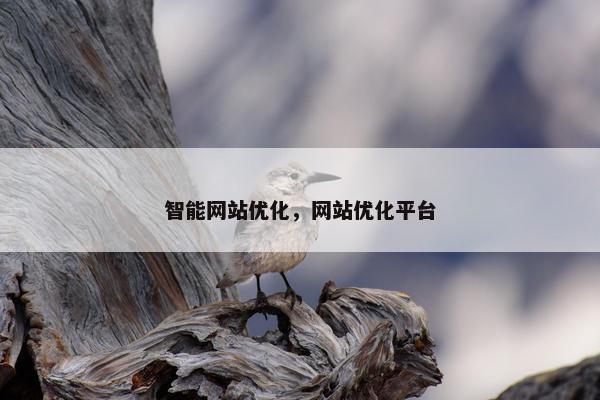 智能网站优化，网站优化平台