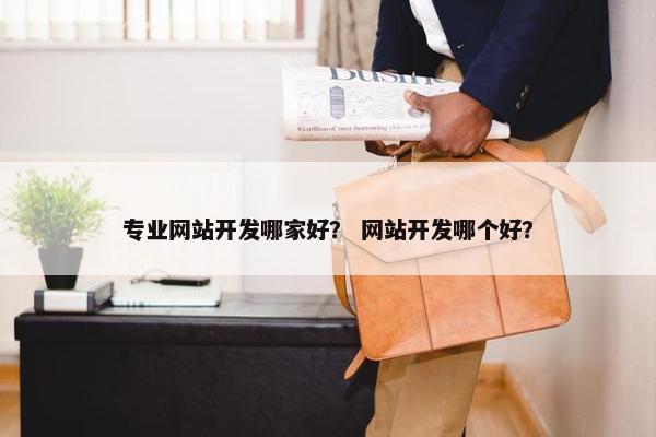 专业网站开发哪家好？ 网站开发哪个好？