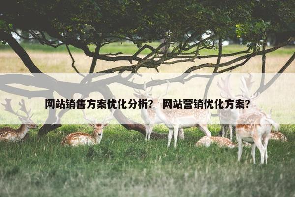 网站销售方案优化分析？ 网站营销优化方案？