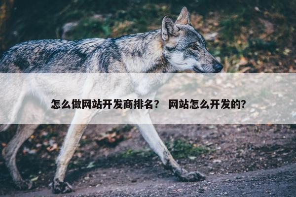 怎么做网站开发商排名？ 网站怎么开发的？