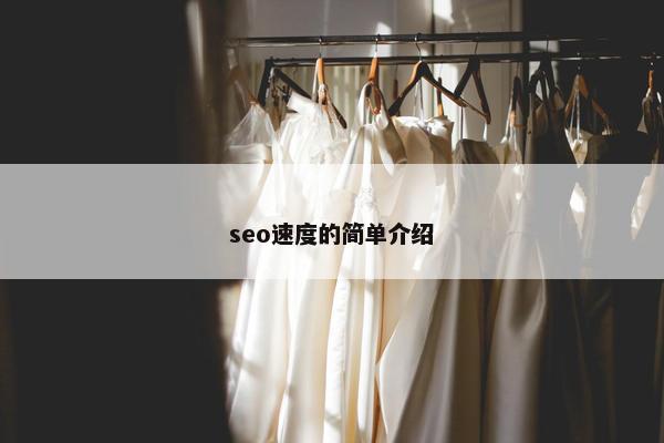 seo速度的简单介绍