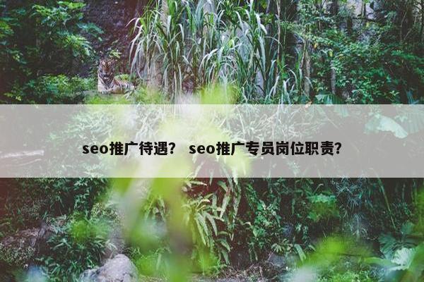 seo推广待遇？ seo推广专员岗位职责？
