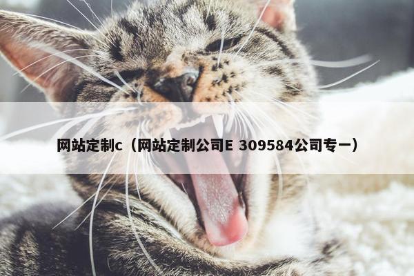 网站定制c（网站定制公司E 309584公司专一）