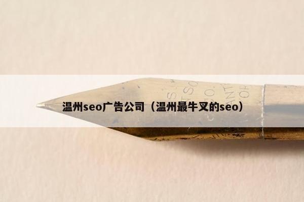 温州seo广告公司（温州最牛叉的seo）