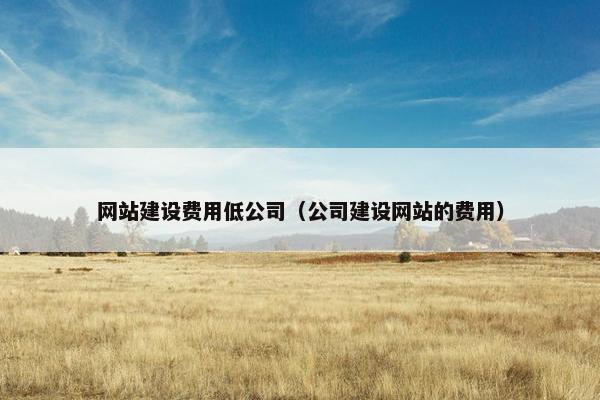 网站建设费用低公司（公司建设网站的费用）