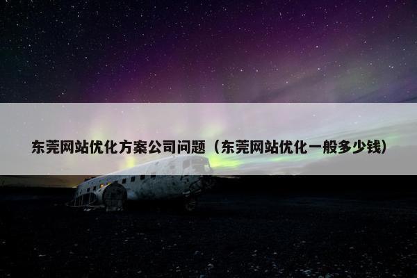 东莞网站优化方案公司问题（东莞网站优化一般多少钱）