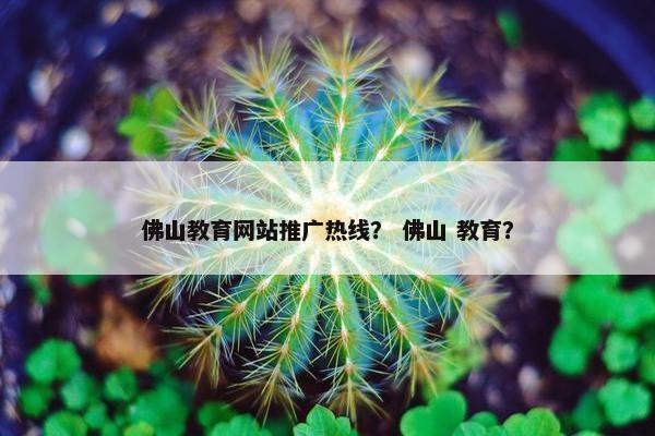 佛山教育网站推广热线？ 佛山 教育？