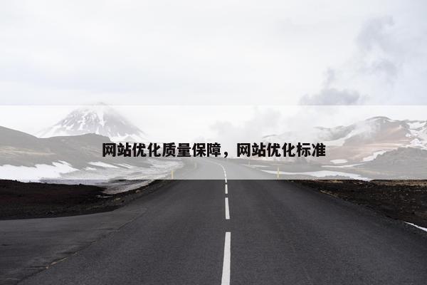 网站优化质量保障，网站优化标准