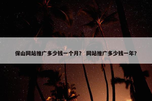 保山网站推广多少钱一个月？ 网站推广多少钱一年？