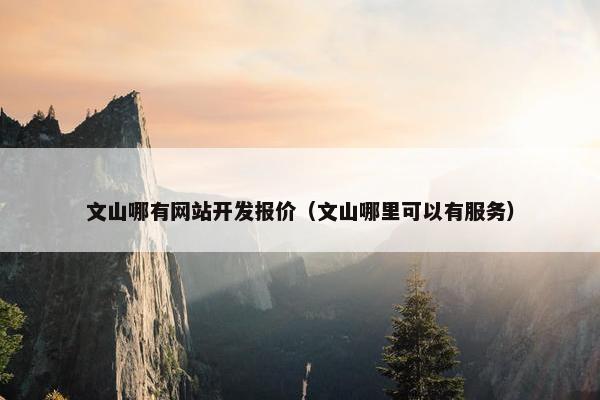 文山哪有网站开发报价（文山哪里可以有服务）