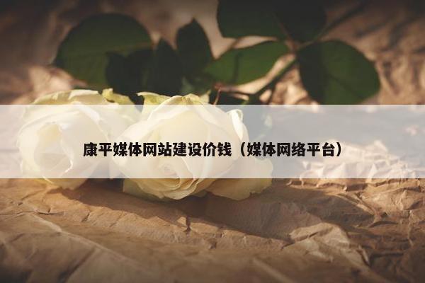 康平媒体网站建设价钱（媒体网络平台）