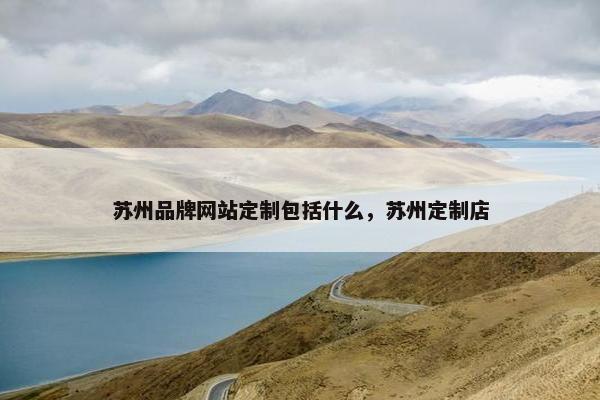 苏州品牌网站定制包括什么，苏州定制店