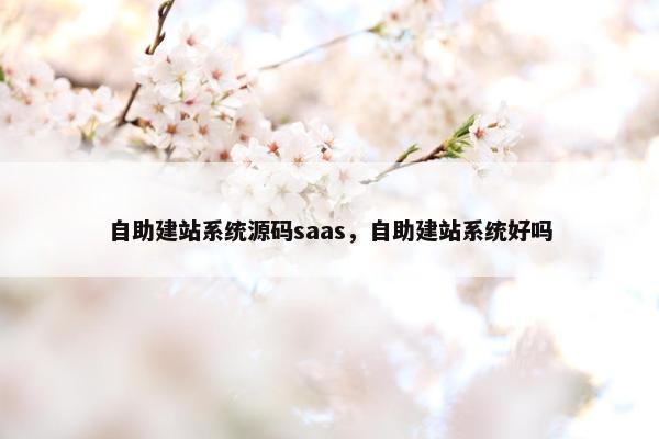 自助建站系统源码saas，自助建站系统好吗