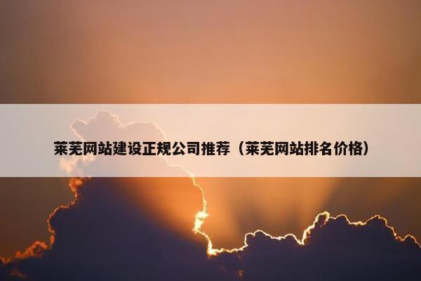 莱芜网站建设正规公司推荐（莱芜网站排名价格）