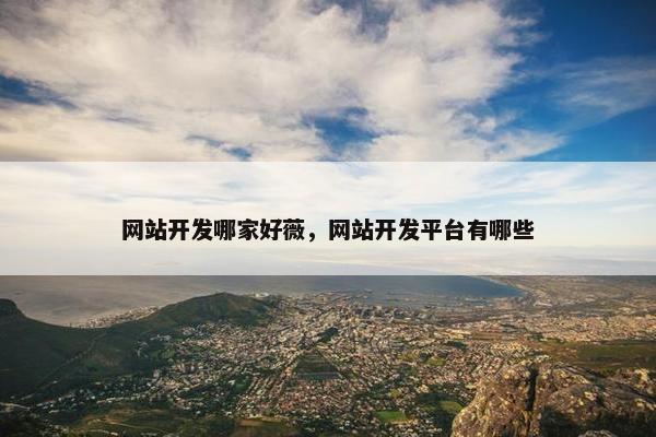网站开发哪家好薇，网站开发平台有哪些