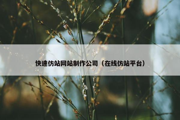 快速仿站网站制作公司（在线仿站平台）