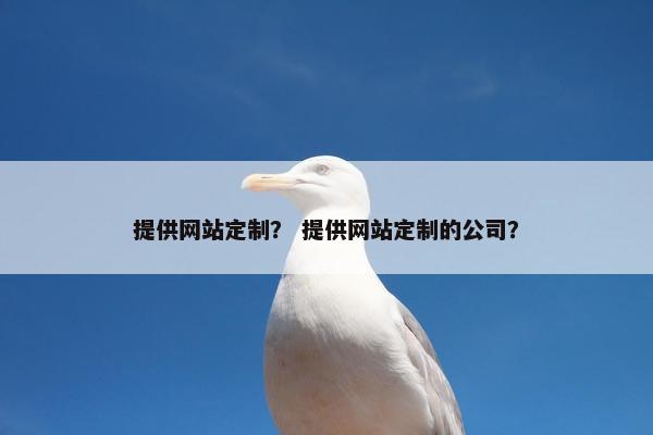 提供网站定制？ 提供网站定制的公司？