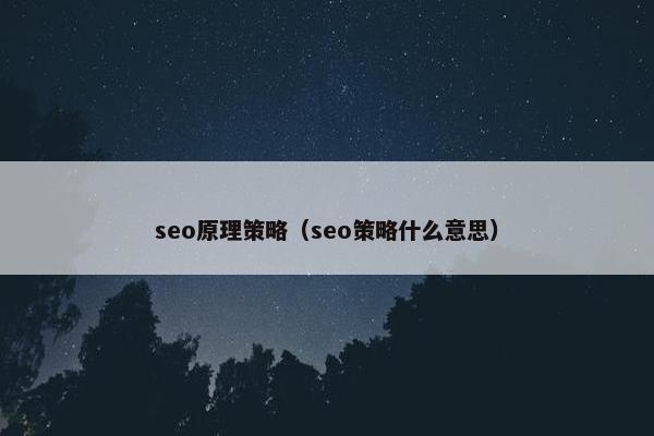 seo原理策略（seo策略什么意思）
