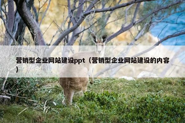 营销型企业网站建设ppt（营销型企业网站建设的内容）