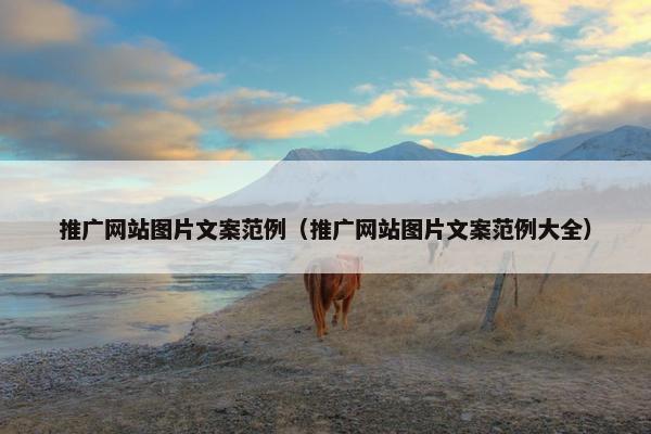 推广网站图片文案范例（推广网站图片文案范例大全）