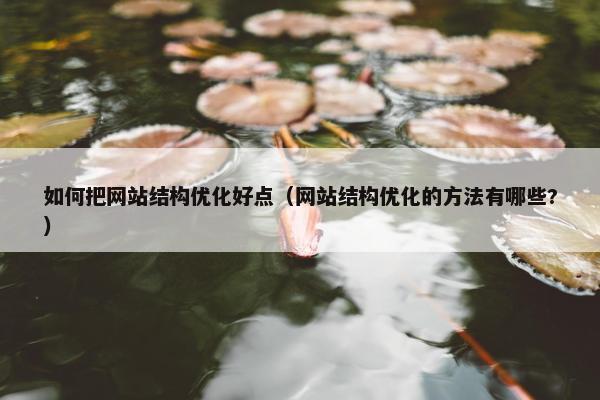 如何把网站结构优化好点（网站结构优化的方法有哪些?）