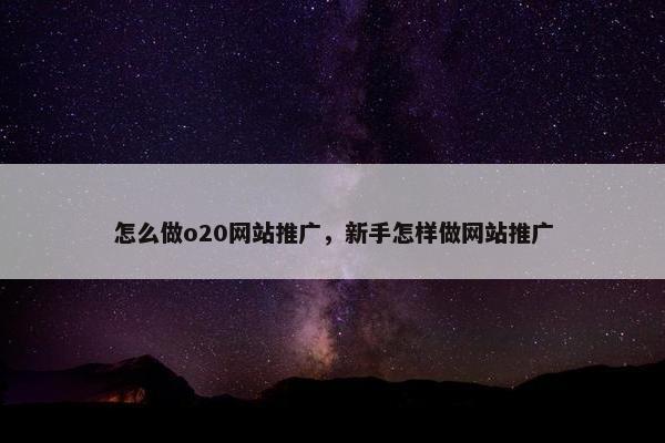 怎么做o20网站推广，新手怎样做网站推广