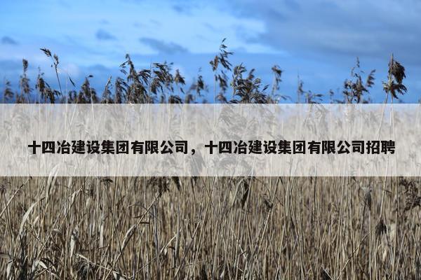 十四冶建设集团有限公司，十四冶建设集团有限公司招聘