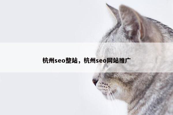 杭州seo整站，杭州seo网站推广