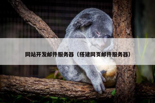 网站开发邮件服务器（搭建网页邮件服务器）