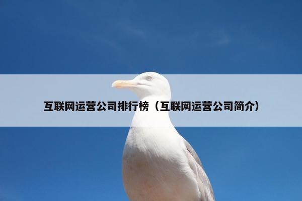 互联网运营公司排行榜（互联网运营公司简介）