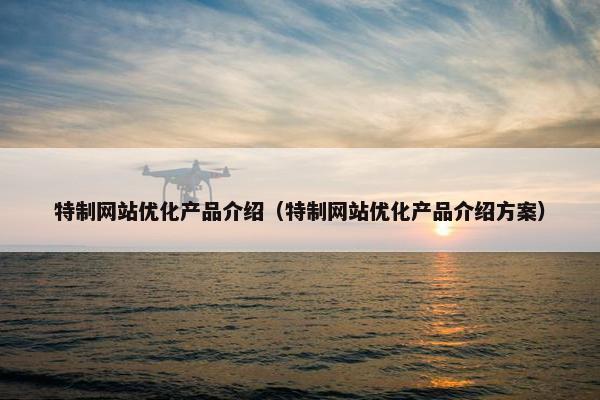 特制网站优化产品介绍（特制网站优化产品介绍方案）