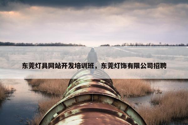 东莞灯具网站开发培训班，东莞灯饰有限公司招聘