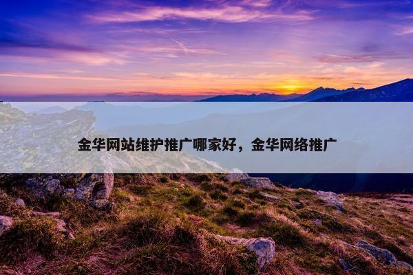 金华网站维护推广哪家好，金华网络推广