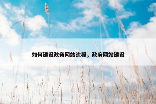 如何建设政务网站流程，政府网站建设