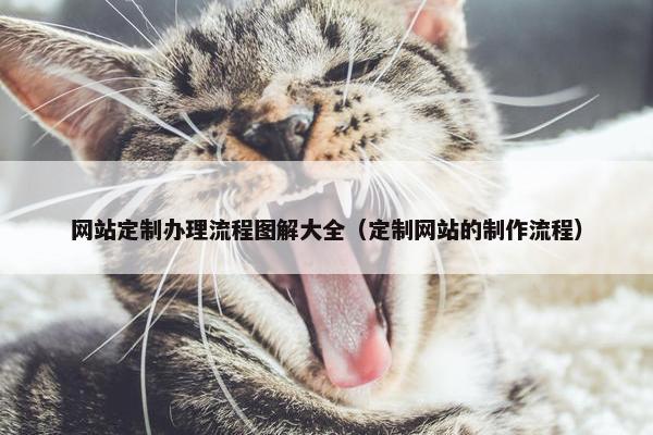 网站定制办理流程图解大全（定制网站的制作流程）