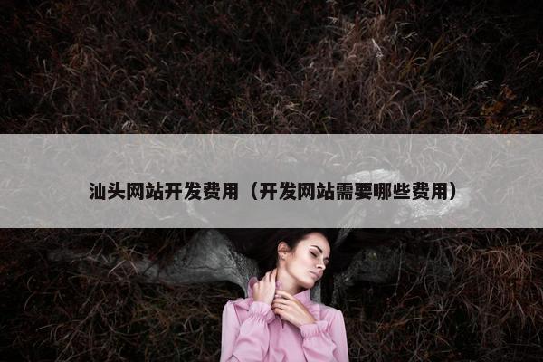 汕头网站开发费用（开发网站需要哪些费用）