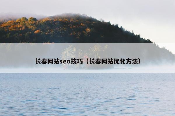 长春网站seo技巧（长春网站优化方法）