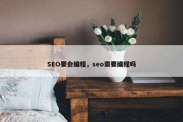 SEO要会编程，seo需要编程吗