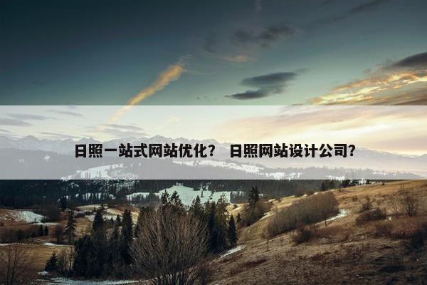 日照一站式网站优化？ 日照网站设计公司？