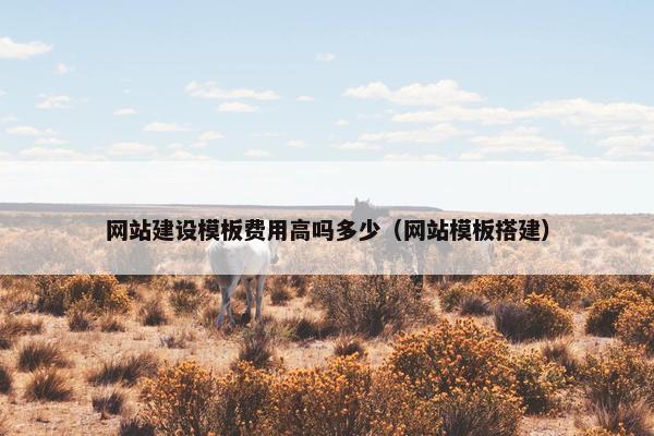 网站建设模板费用高吗多少（网站模板搭建）