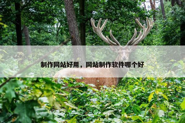 制作网站好用，网站制作软件哪个好