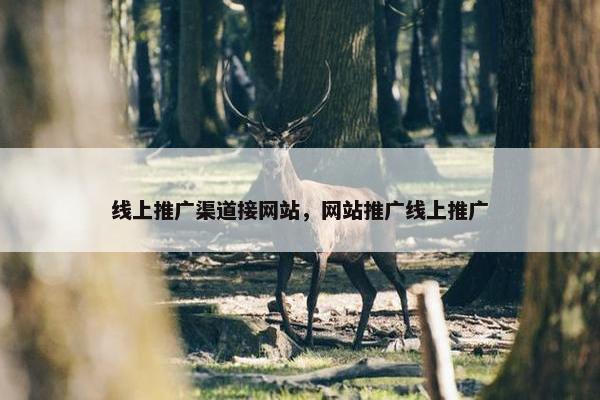 线上推广渠道接网站，网站推广线上推广