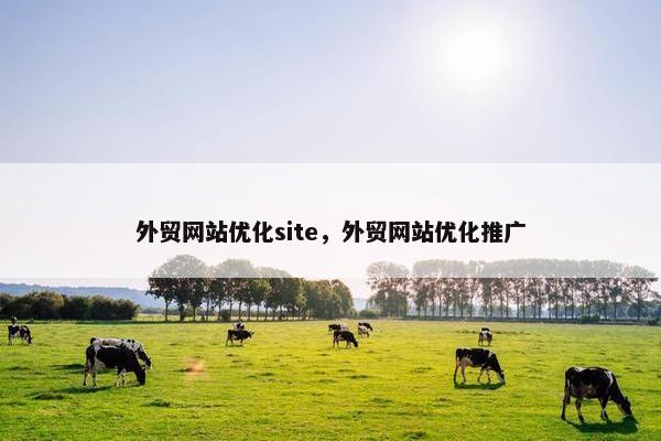 外贸网站优化site，外贸网站优化推广